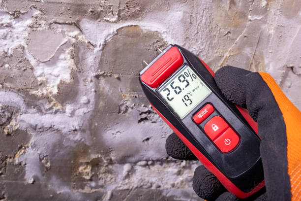 Crawl Space Mold Removal in Madison, WI