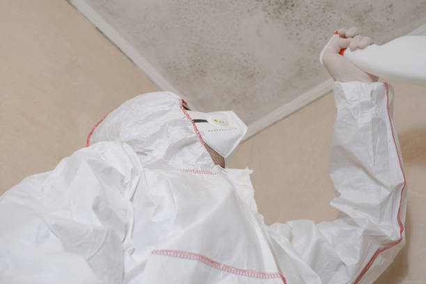 Best Crawl Space Mold Removal  in Madison, WI